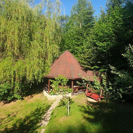 Casa Lacramioara Villa Sâmbăta de Sus Exterior photo