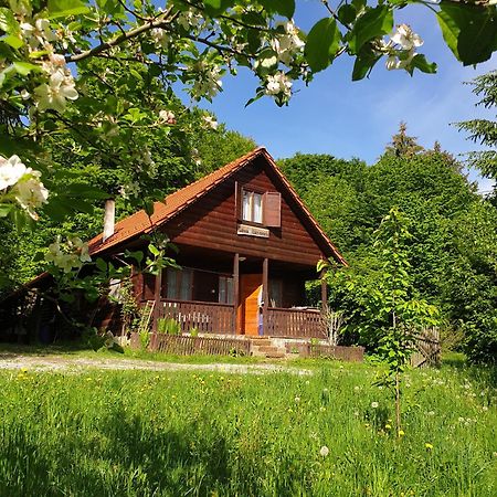 Casa Lacramioara Villa Sâmbăta de Sus Exterior photo