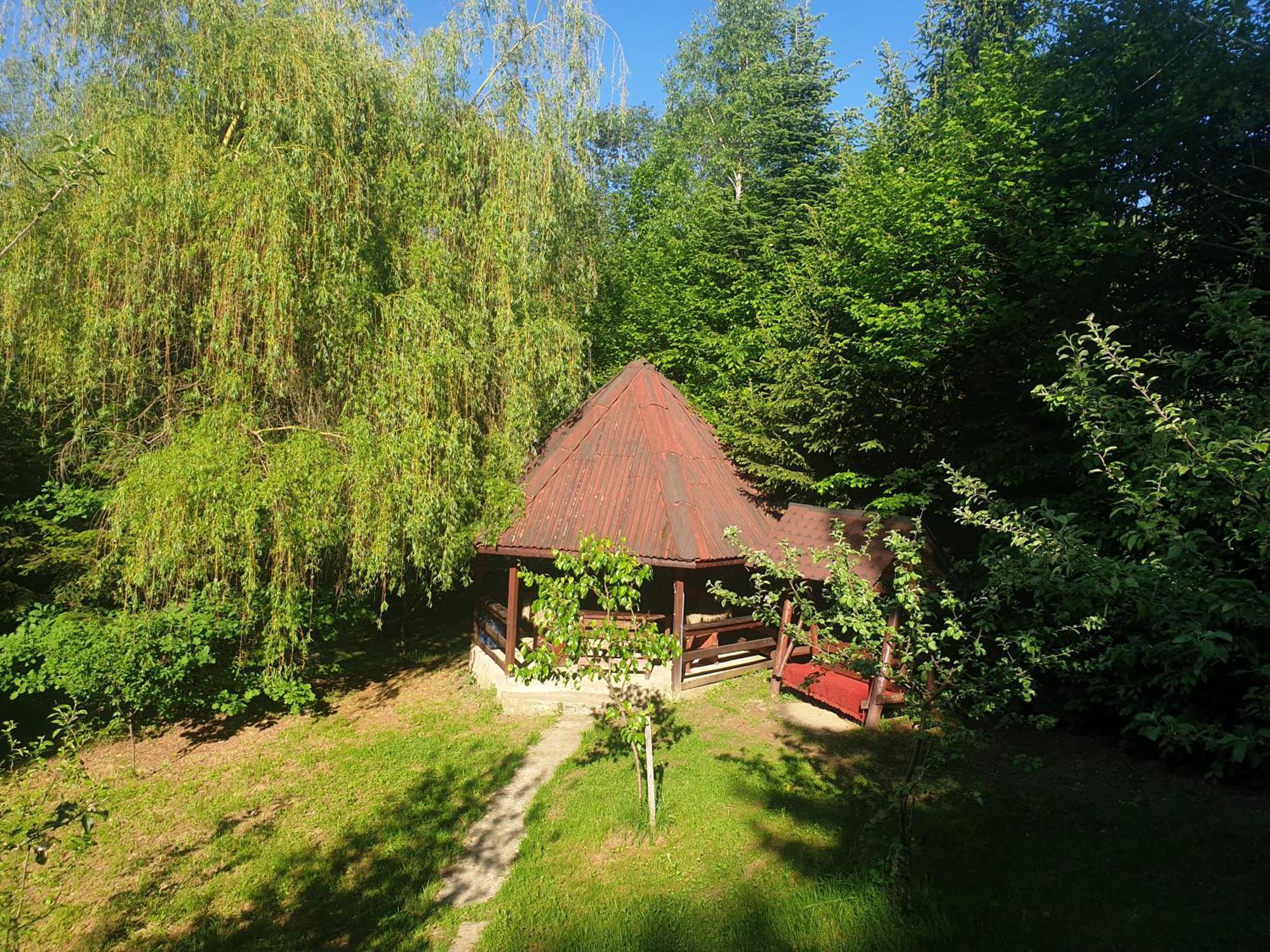 Casa Lacramioara Sâmbăta de Sus Exterior photo