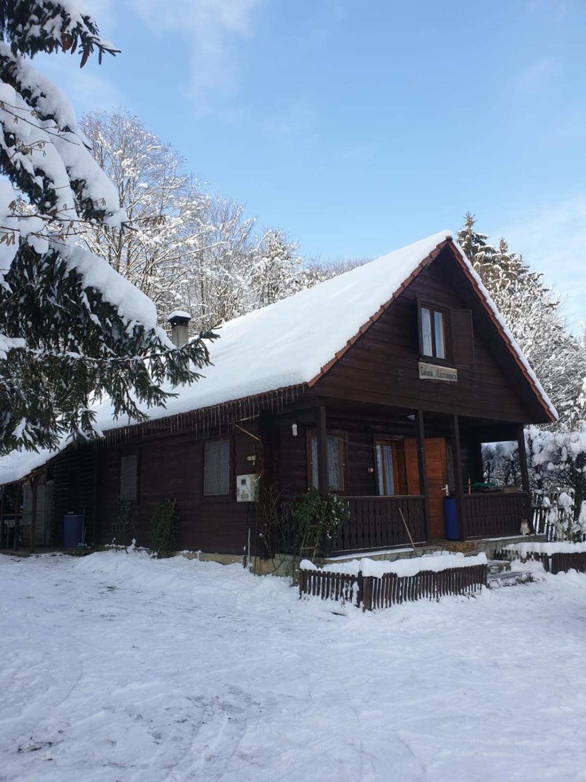 Casa Lacramioara Villa Sâmbăta de Sus Exterior photo