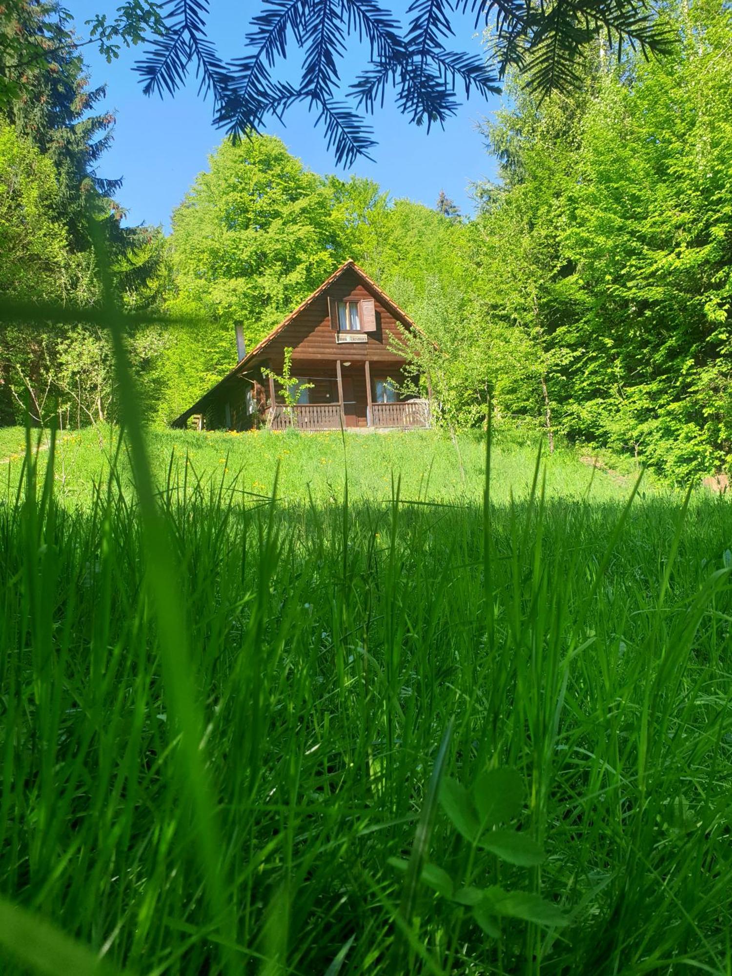 Casa Lacramioara Villa Sâmbăta de Sus Exterior photo