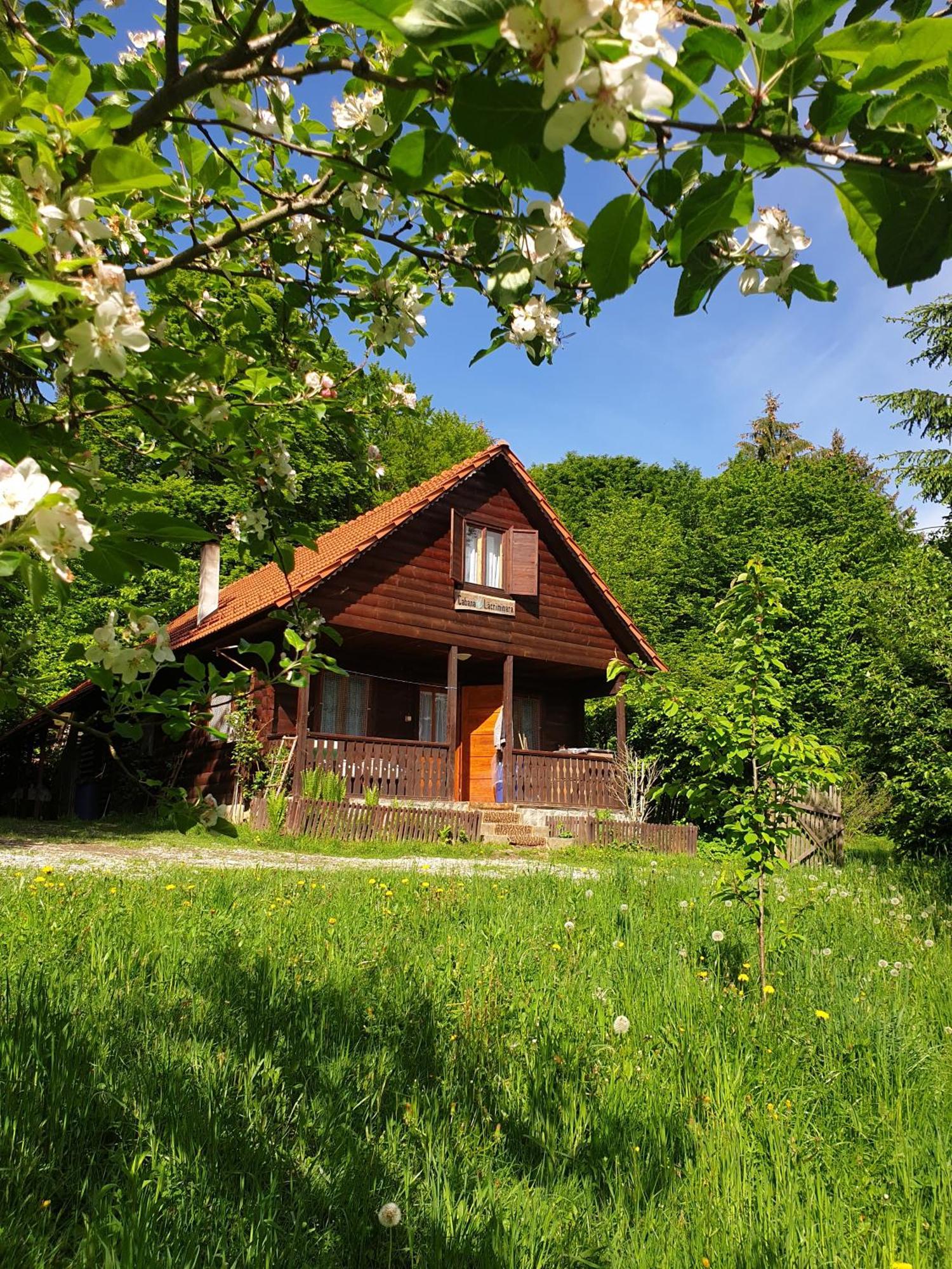 Casa Lacramioara Sâmbăta de Sus Exterior photo