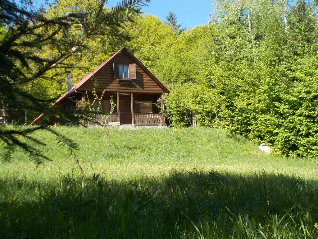 Casa Lacramioara Sâmbăta de Sus Exterior photo