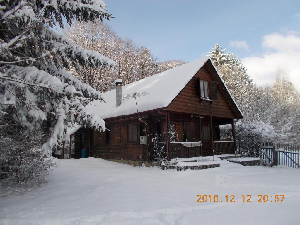 Casa Lacramioara Sâmbăta de Sus Exterior photo